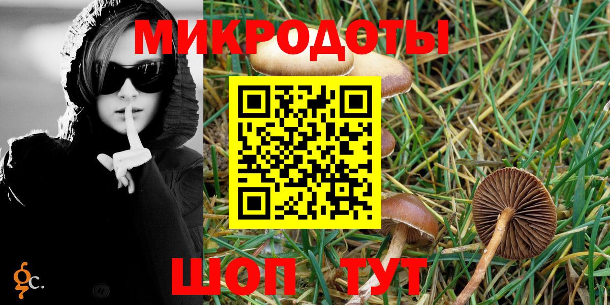 Галлюциногенные грибы прущие грибы  Галлюциногенные грибы прущие грибы  Вход с VPN  Нурлат 